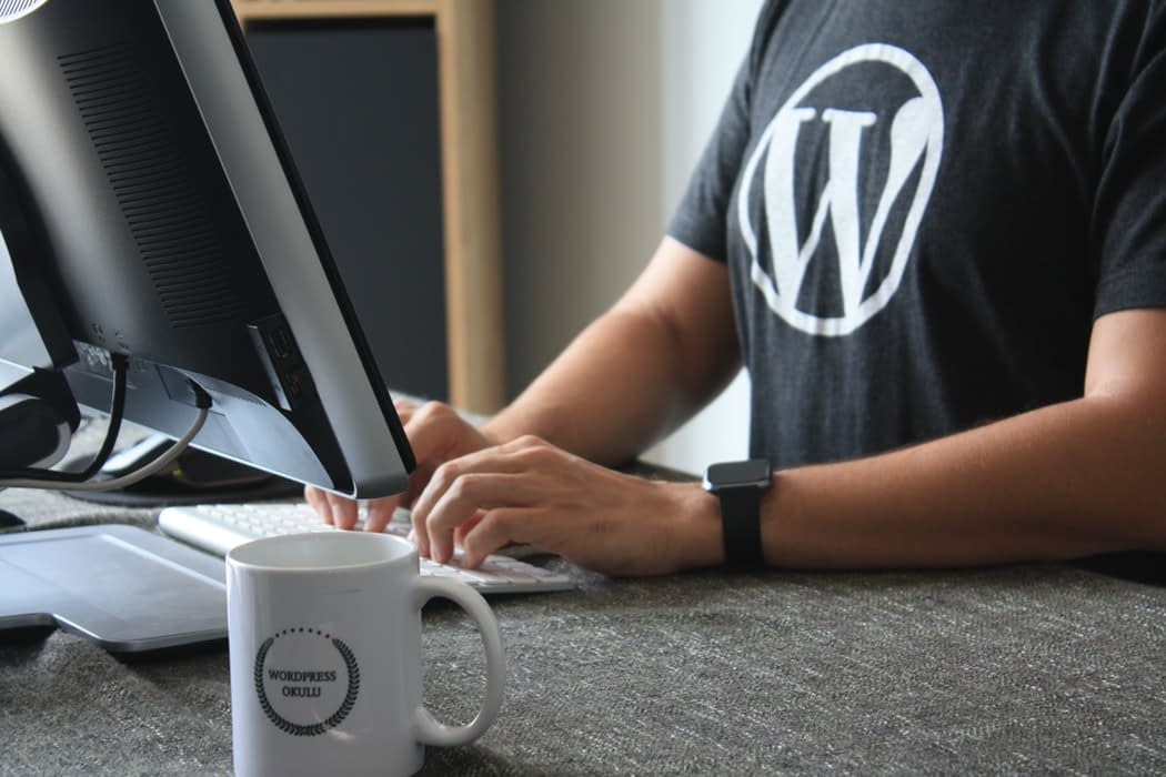 wpupdate Wordpress Updates